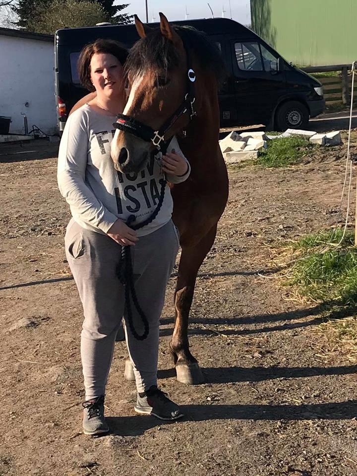 Anden særlig race Kasmir billede 1