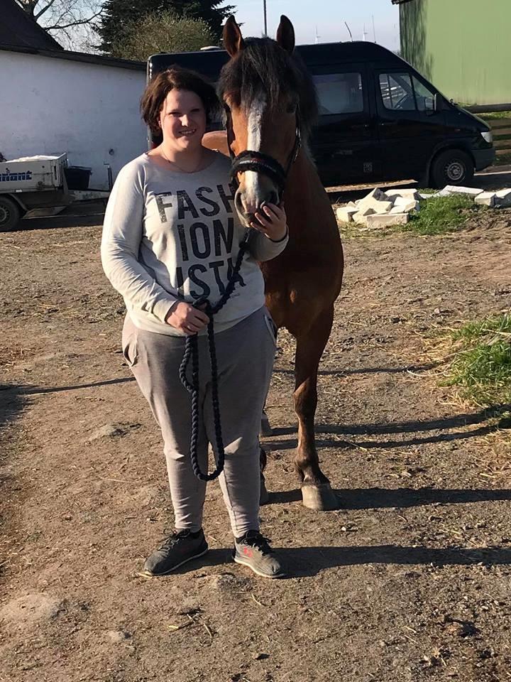 Anden særlig race Kasmir billede 2