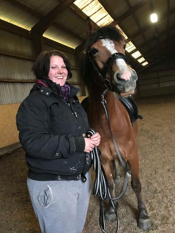 Anden særlig race Kasmir billede 4