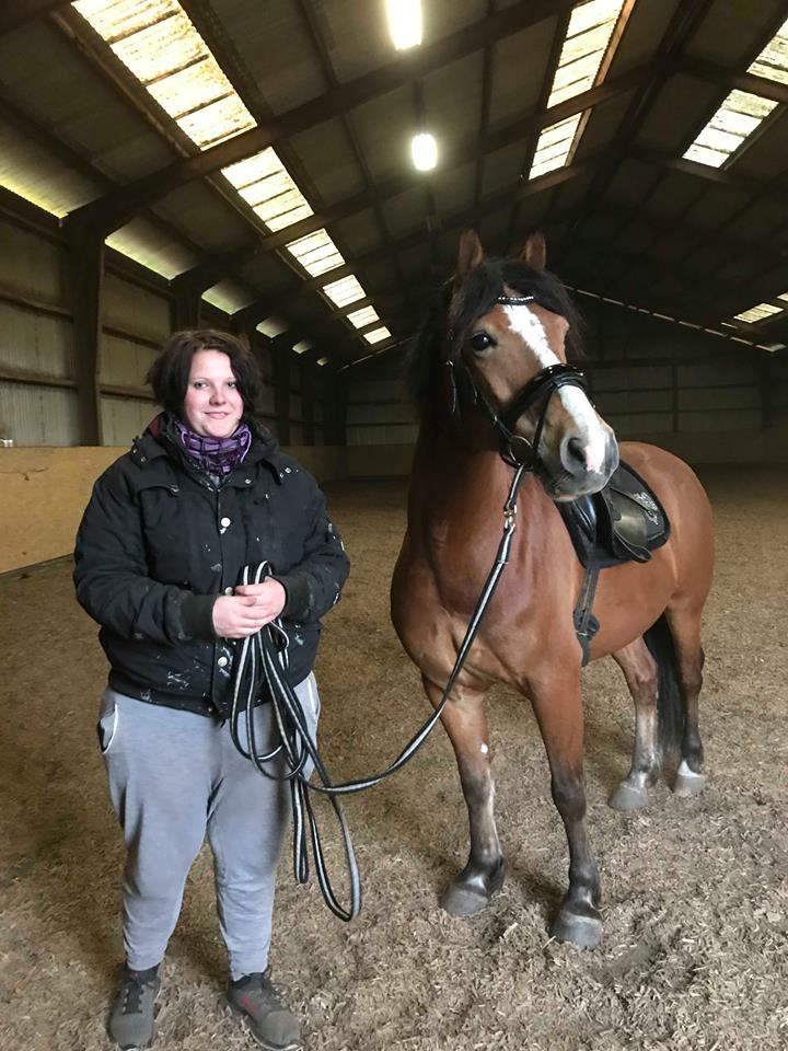 Anden særlig race Kasmir billede 5