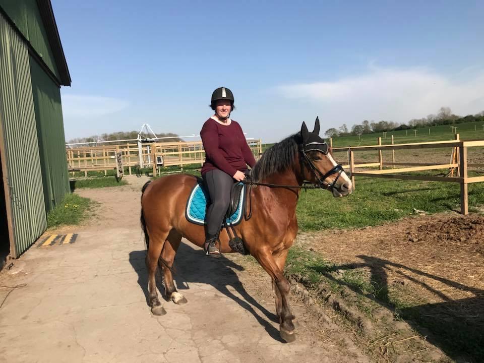 Anden særlig race Kasmir billede 7