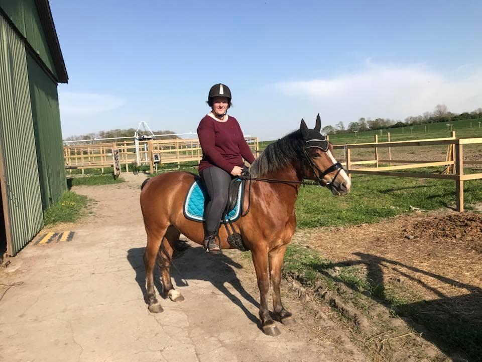 Anden særlig race Kasmir billede 8