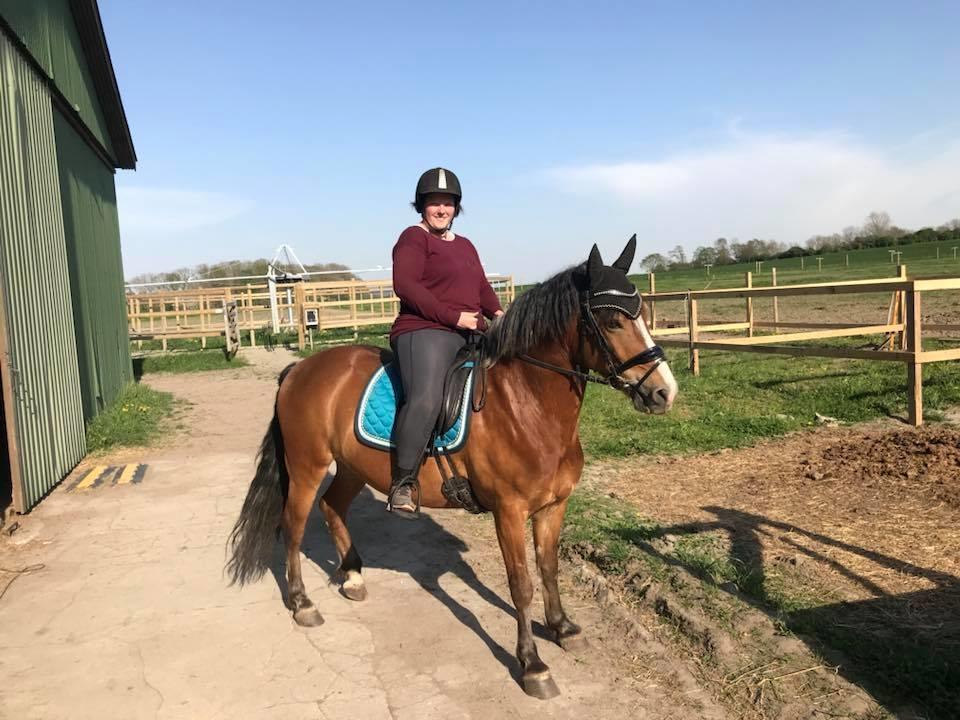 Anden særlig race Kasmir billede 9