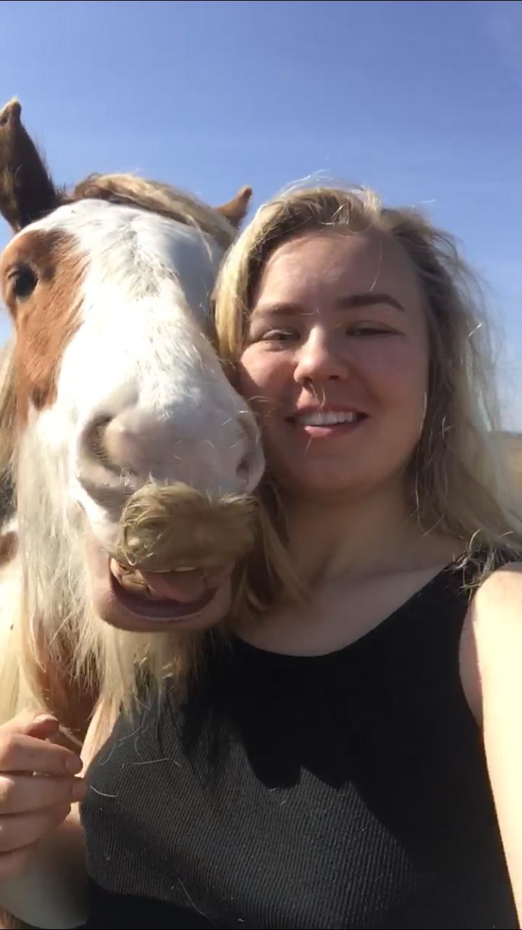 Irish Cob Nydal's Spencer - 08/05/18 ét styks moustache selfie. billede 13