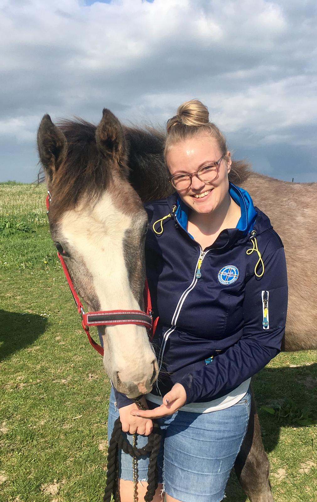 Dansk Varmblod Mayflower billede 18