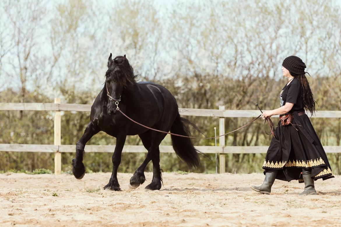 Frieser Migu van Årupgård - 29. april 2018 ... Fotograf: Jeanette Meldgaard Poulsen billede 19