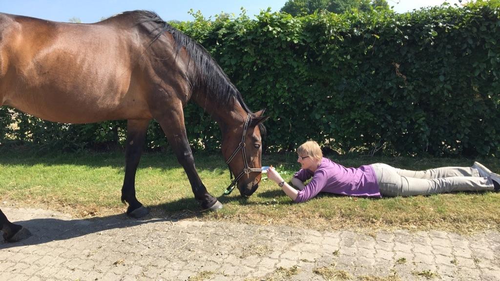 Traver Faraway billede 1