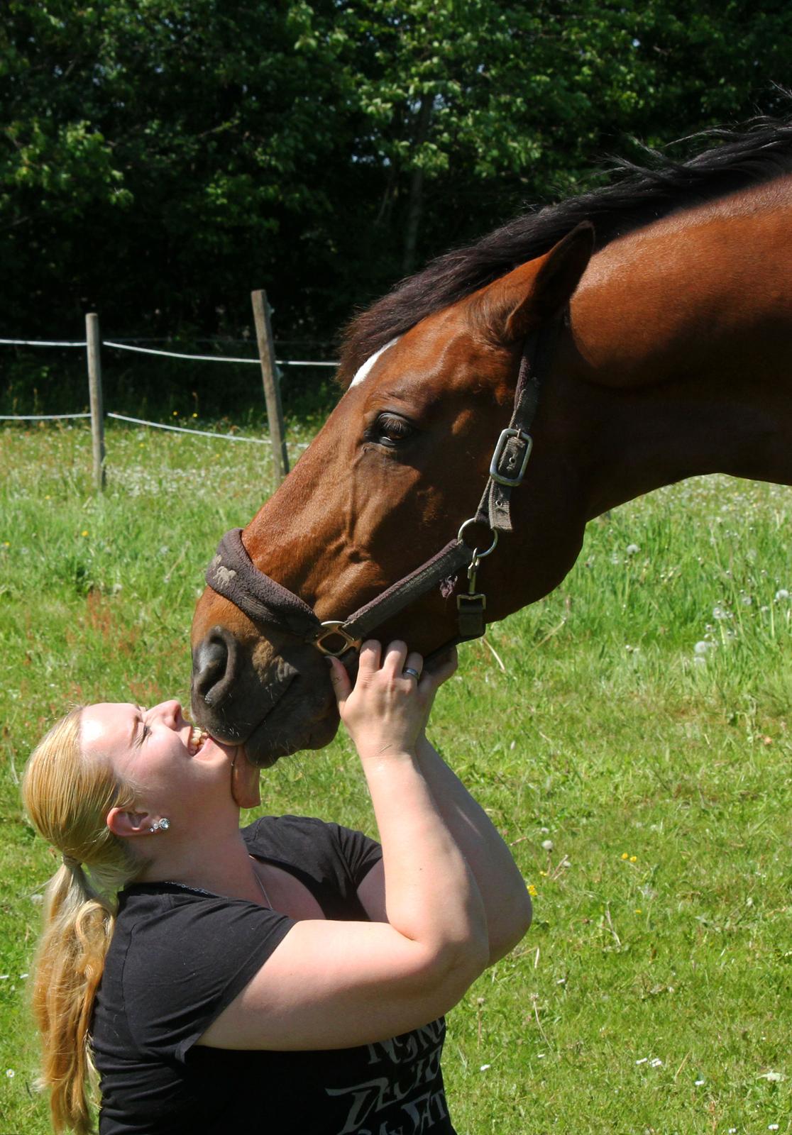 Anden særlig race Dalvangs Casper - NYT: Elsker min dejlige dreng <3 billede 3
