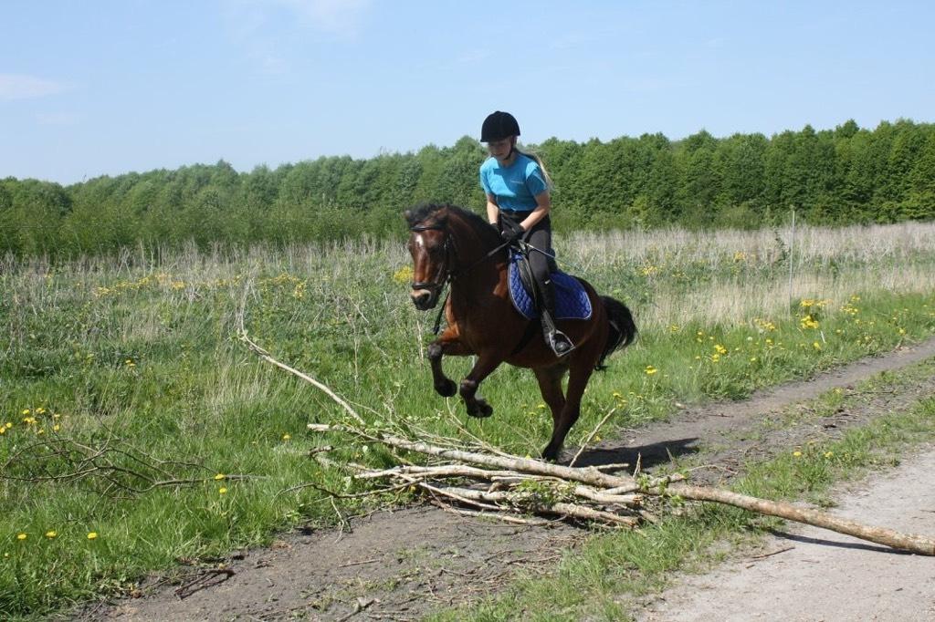 Anden særlig race Frandsen - Vi kan godt springe ;-) (foto J.o) billede 3