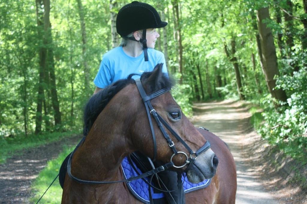 Anden særlig race Frandsen - vi gikker på får(foto: J.O) billede 18
