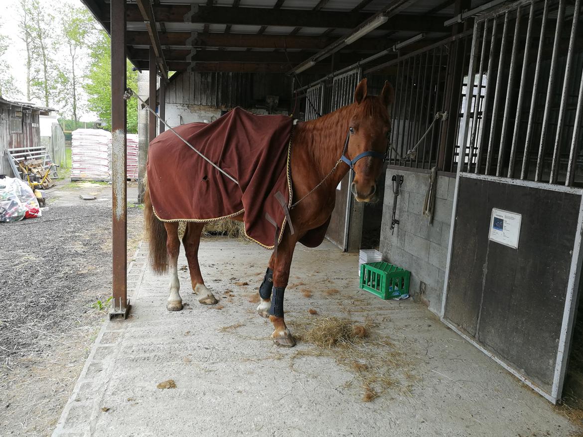 Frederiksborg Bacchus krogvænget billede 9
