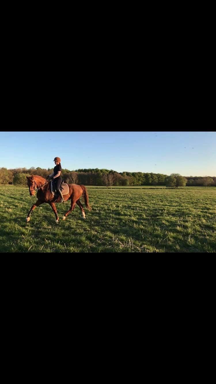 Frederiksborg Bacchus krogvænget billede 6