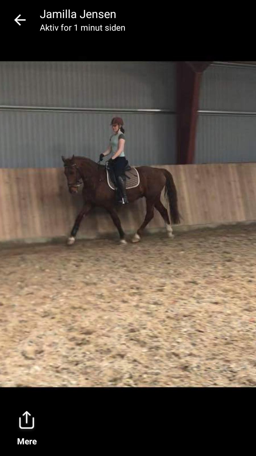 Frederiksborg Bacchus krogvænget billede 8