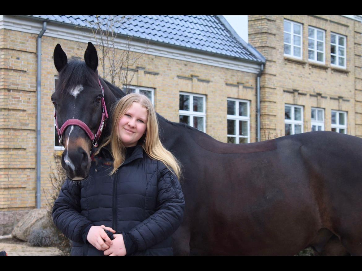 Oldenborg Another one 2 (Dundee) billede 14