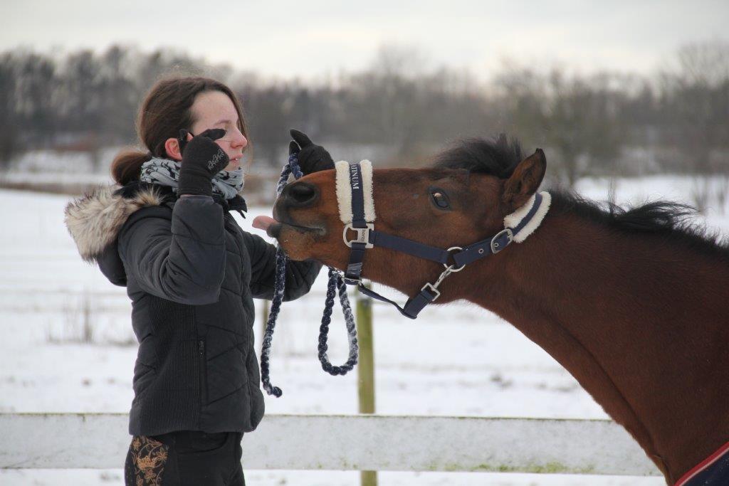 Anden særlig race Figaros lille fix billede 7