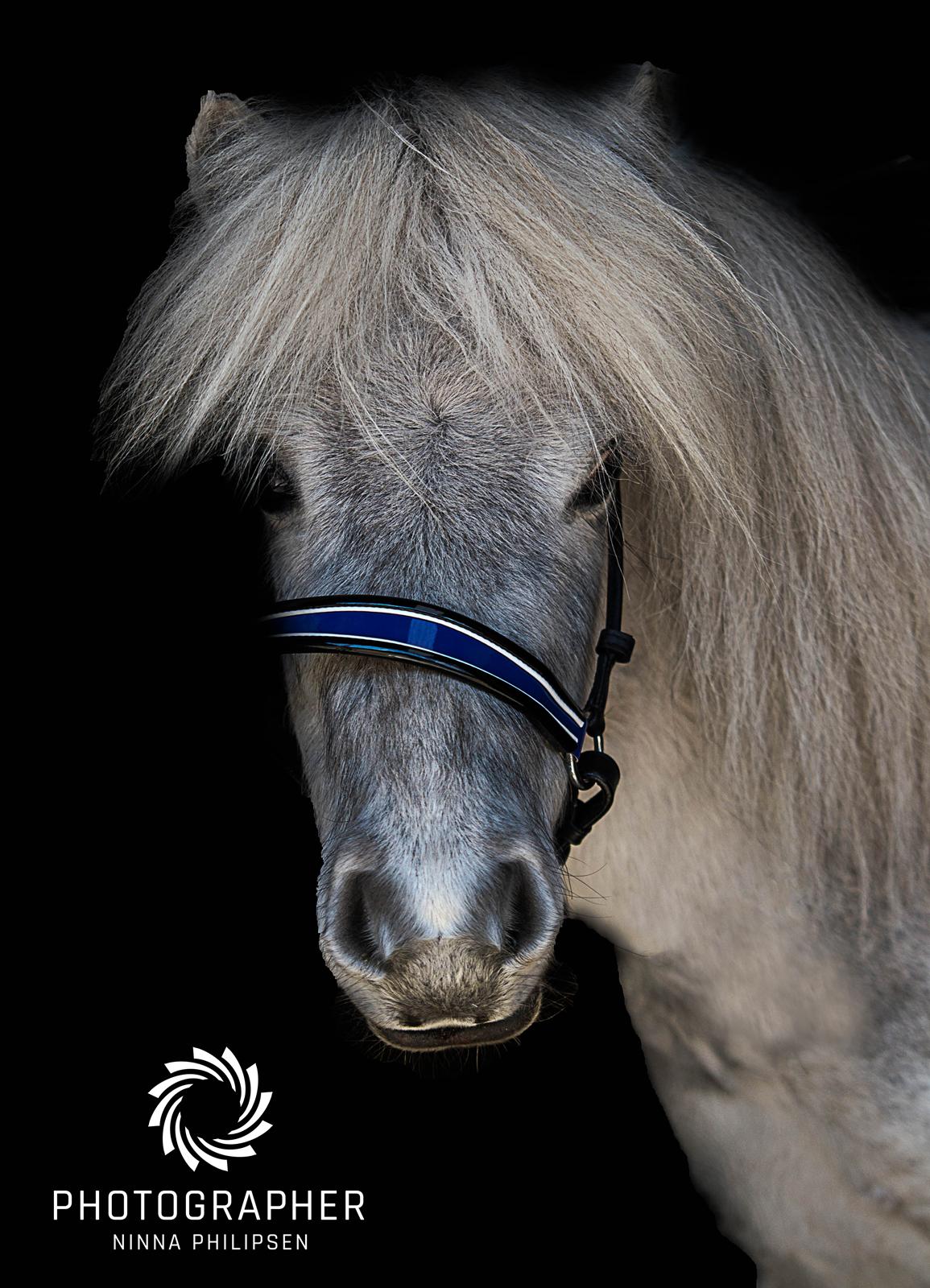 Miniature Máni billede 17