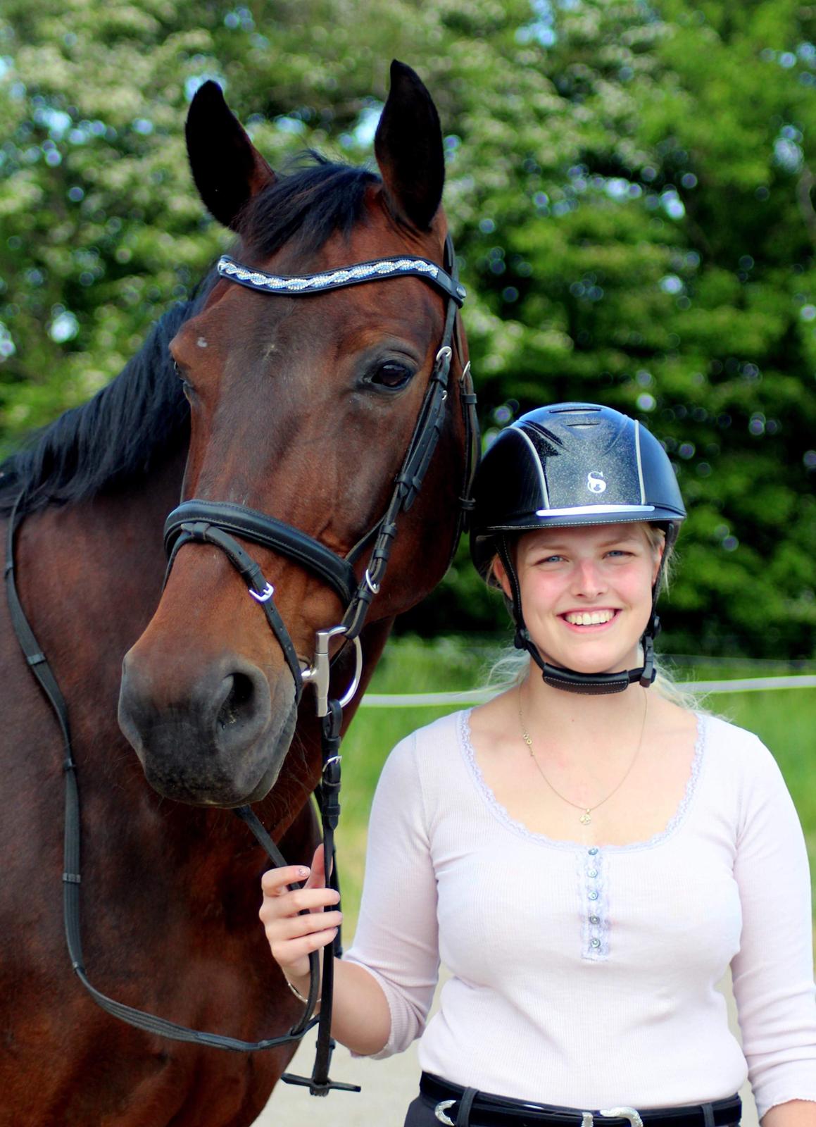 Oldenborg Dixie af Vidkær billede 2