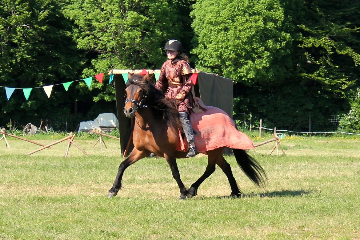 Islænder Syrpa fra Bakholm - 26/05-18 billede 5