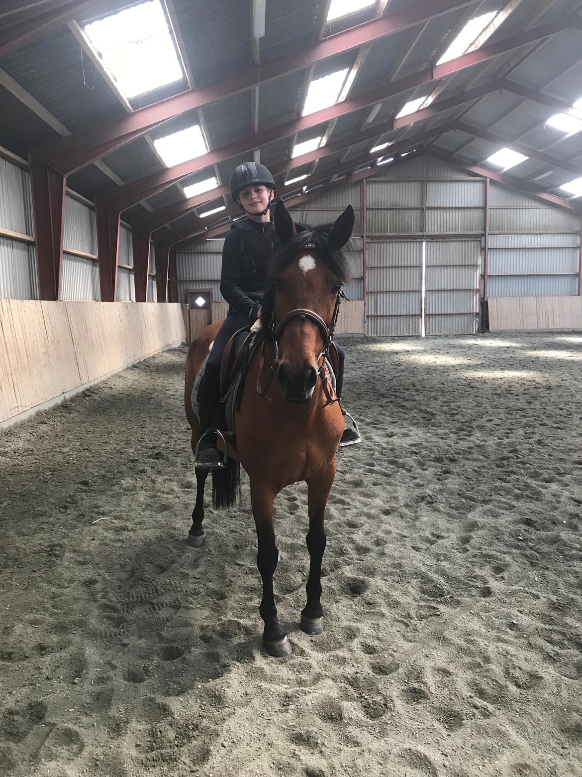 Anden særlig race Rocio billede 2