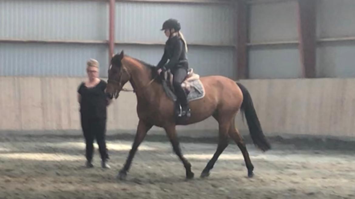 Anden særlig race Rocio billede 7