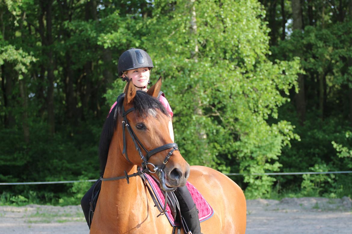 Anden særlig race Rocio billede 1