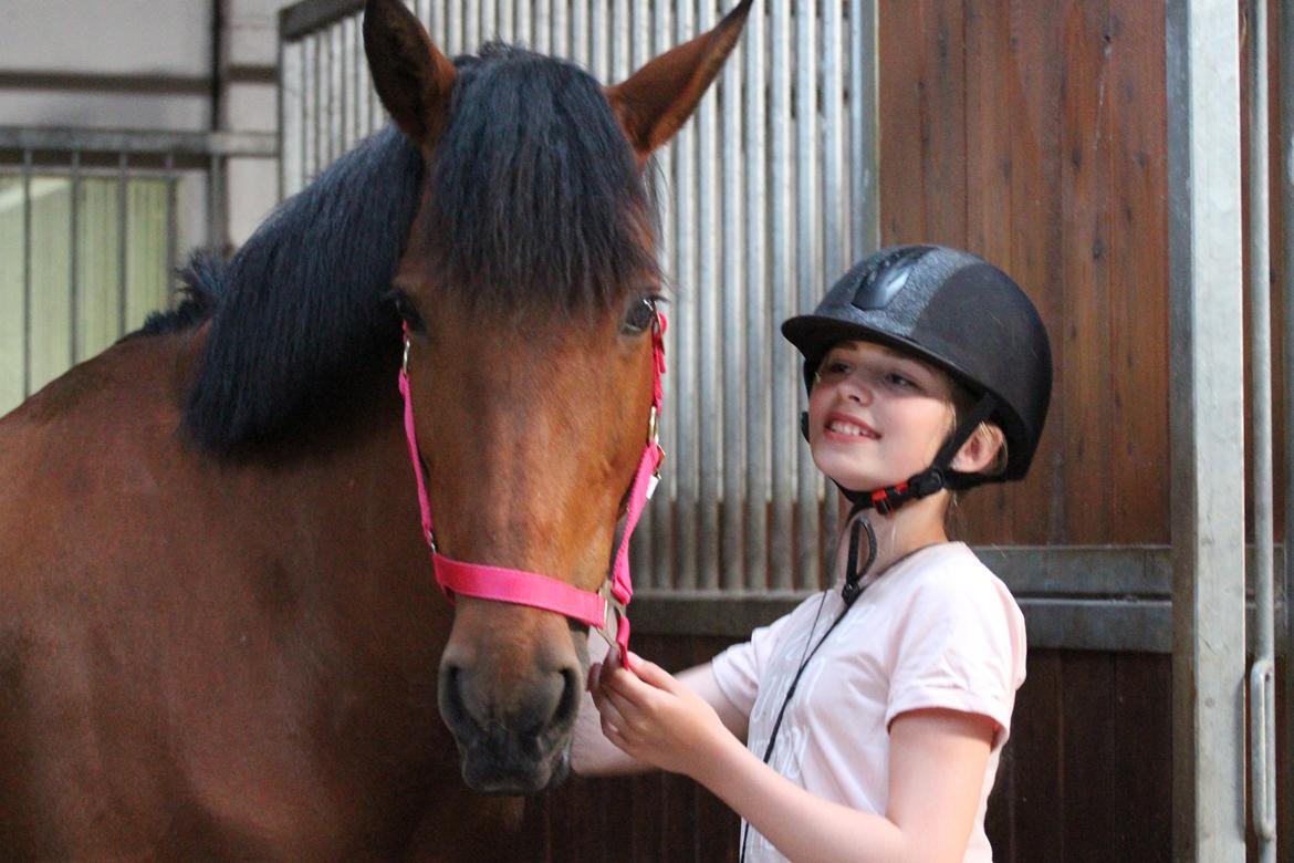 Anden særlig race Rocio billede 3