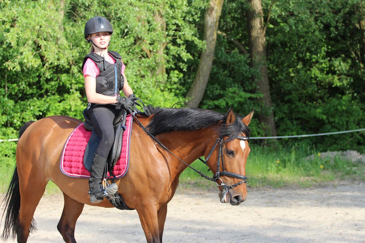 Anden særlig race Rocio billede 6