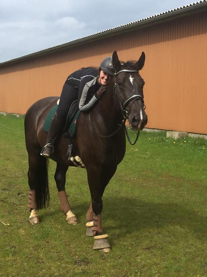 Anden særlig race Torino næshøj billede 6