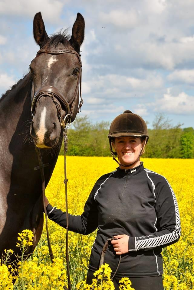 Anden særlig race Torino næshøj - Raps 2017 billede 7