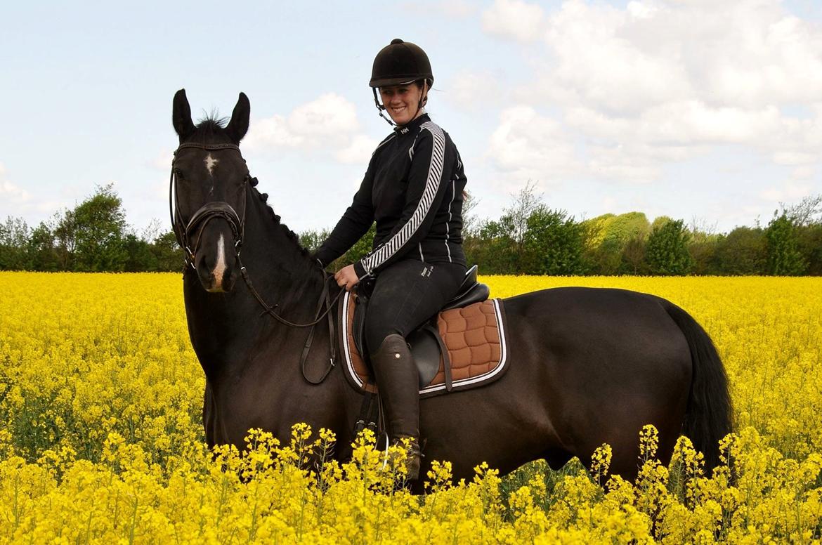 Anden særlig race Torino næshøj - Raps 2017 billede 8