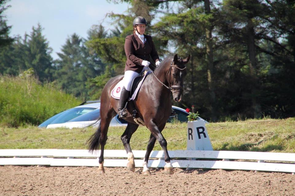 Anden særlig race Torino næshøj - C-stævne Skive Rideklub billede 11