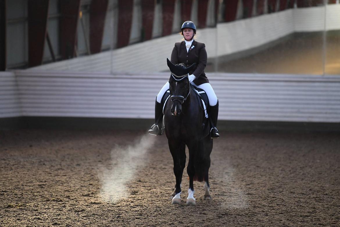 Anden særlig race Torino næshøj billede 13