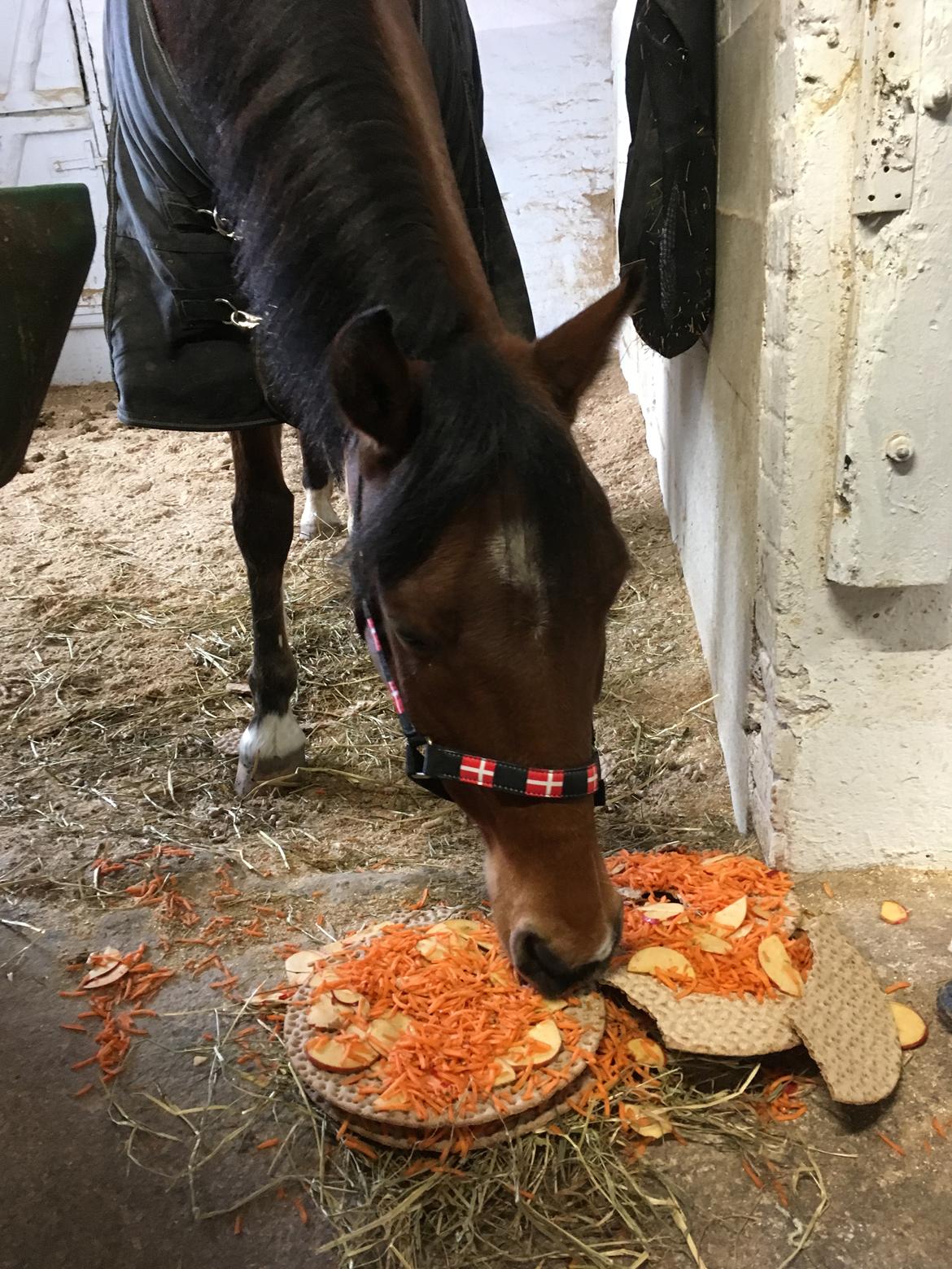 DSP Stidsbjergs Poncho - Poncho fødselsdagskage billede 10