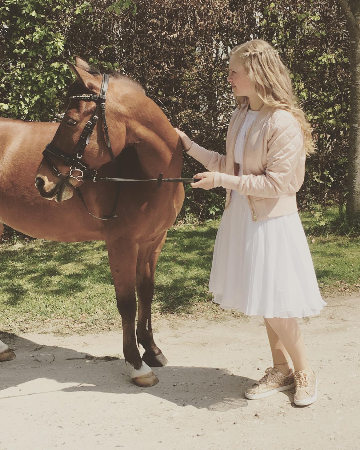 DSP Stidsbjergs Poncho - Da jeg blev konfirmeret i 2017 billede 4