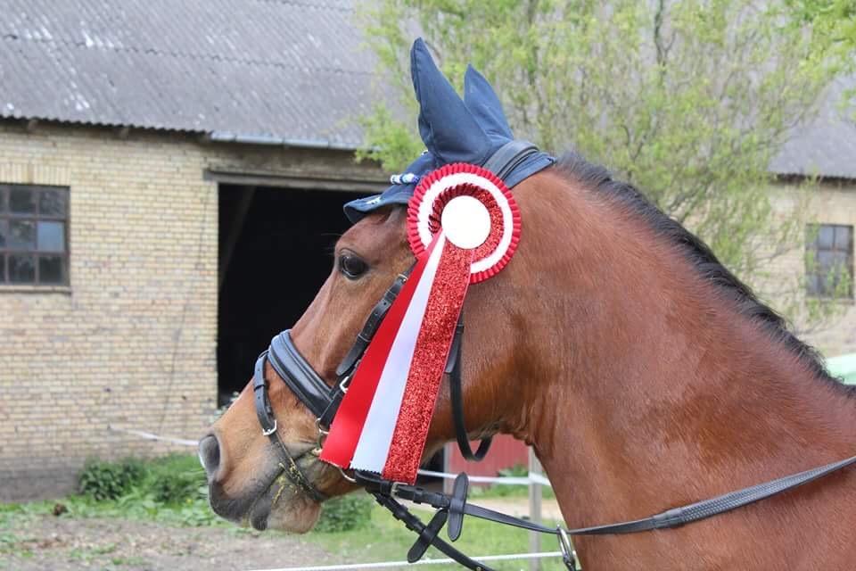 DSP Stidsbjergs Poncho billede 3