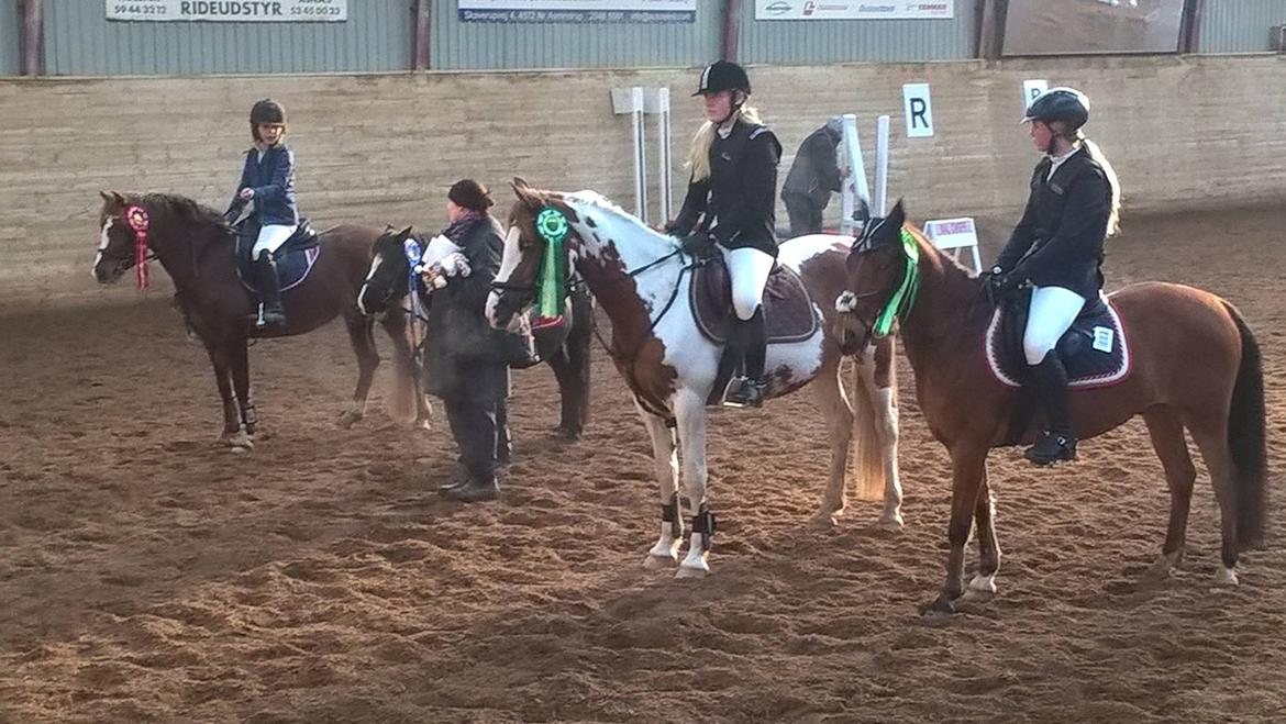 DSP Stidsbjergs Poncho - En 4. Plads i Odsherred   billede 11