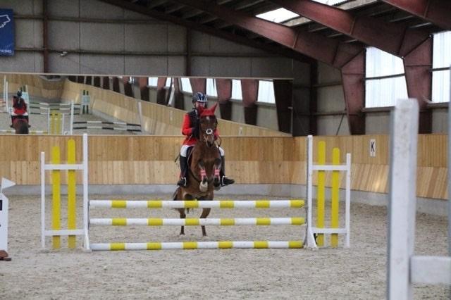 DSP Stidsbjergs Poncho billede 6