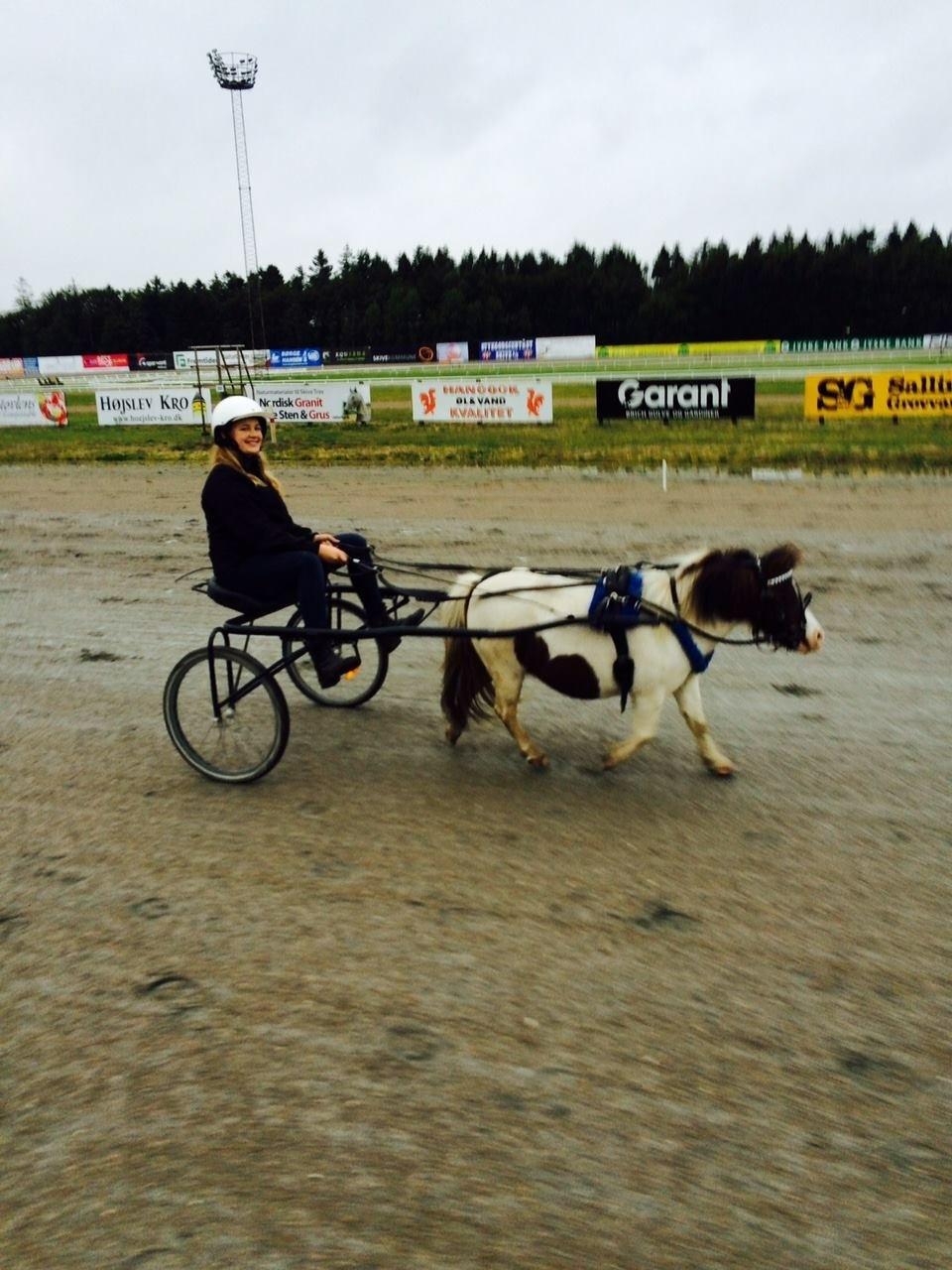 Miniature Pepsi billede 11