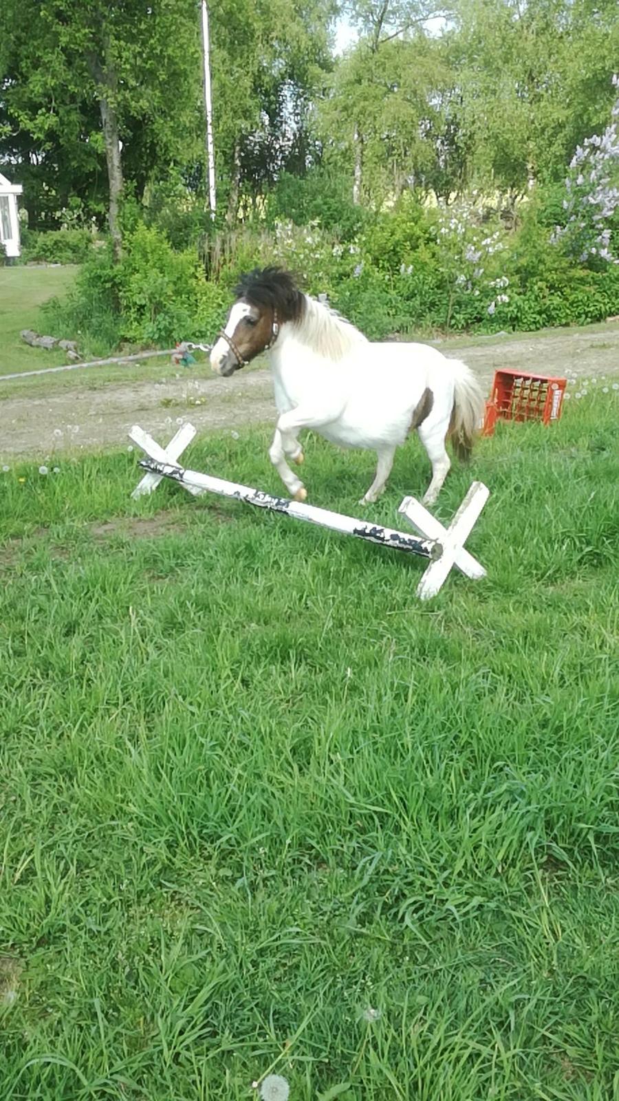 Miniature Pepsi billede 7