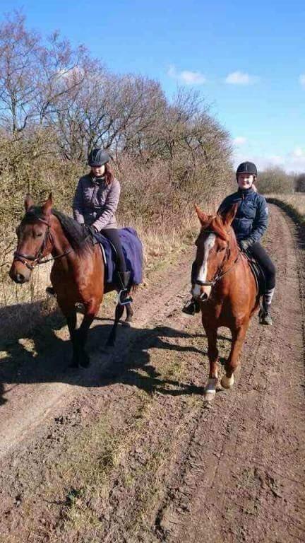Frederiksborg Casio - sammen med min venindes traver i 2015 eller 2016 billede 18