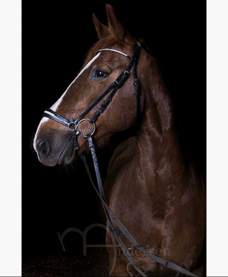 Frederiksborg Casio - foråret 2018 billede 12