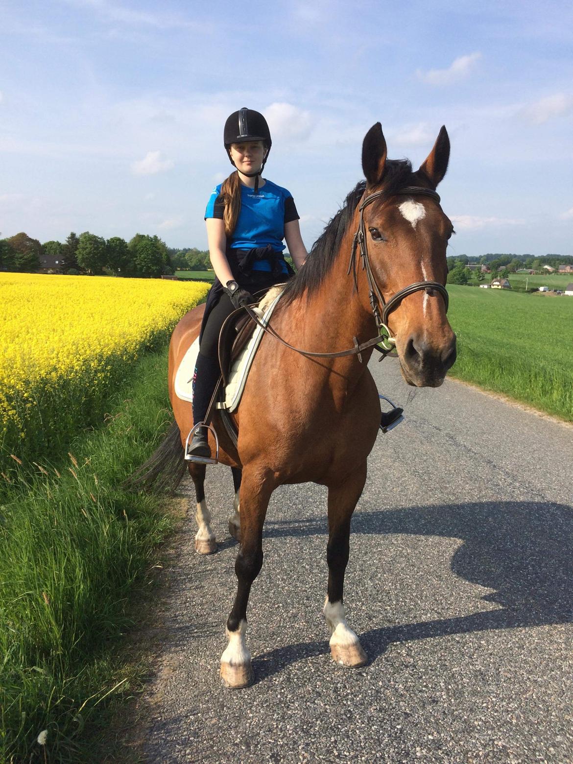 Dansk Varmblod Sunday Silence  - En tur langs rapsmarkerne, maj 2018 billede 15