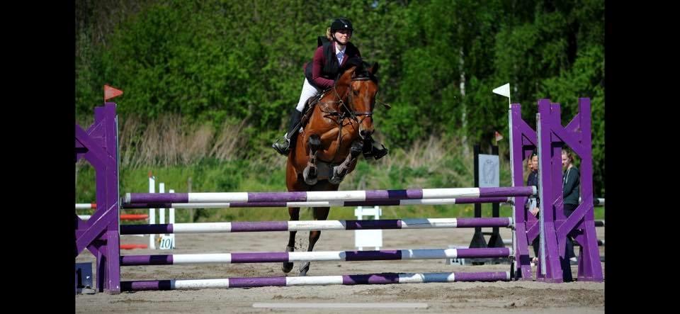 Dansk Varmblod Frydendals c-boy billede 1