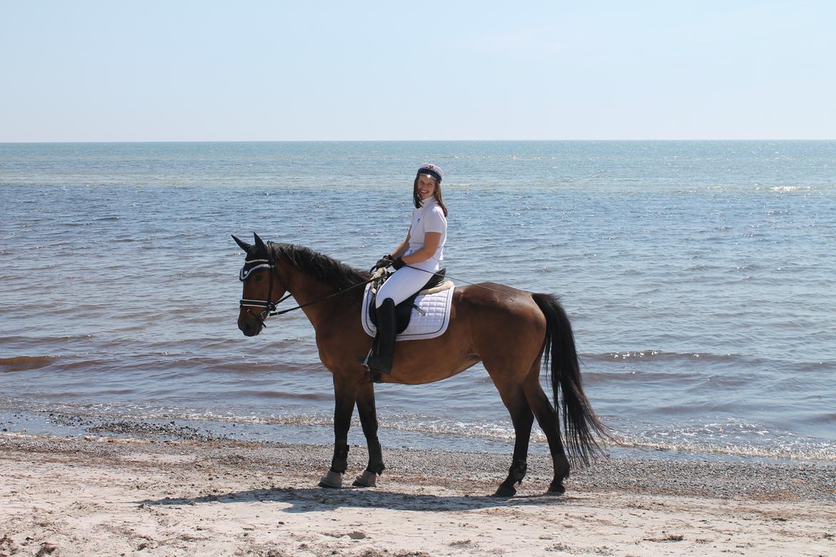 Oldenborg Ayla billede 2