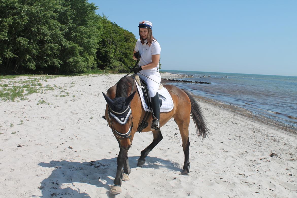 Oldenborg Ayla billede 3