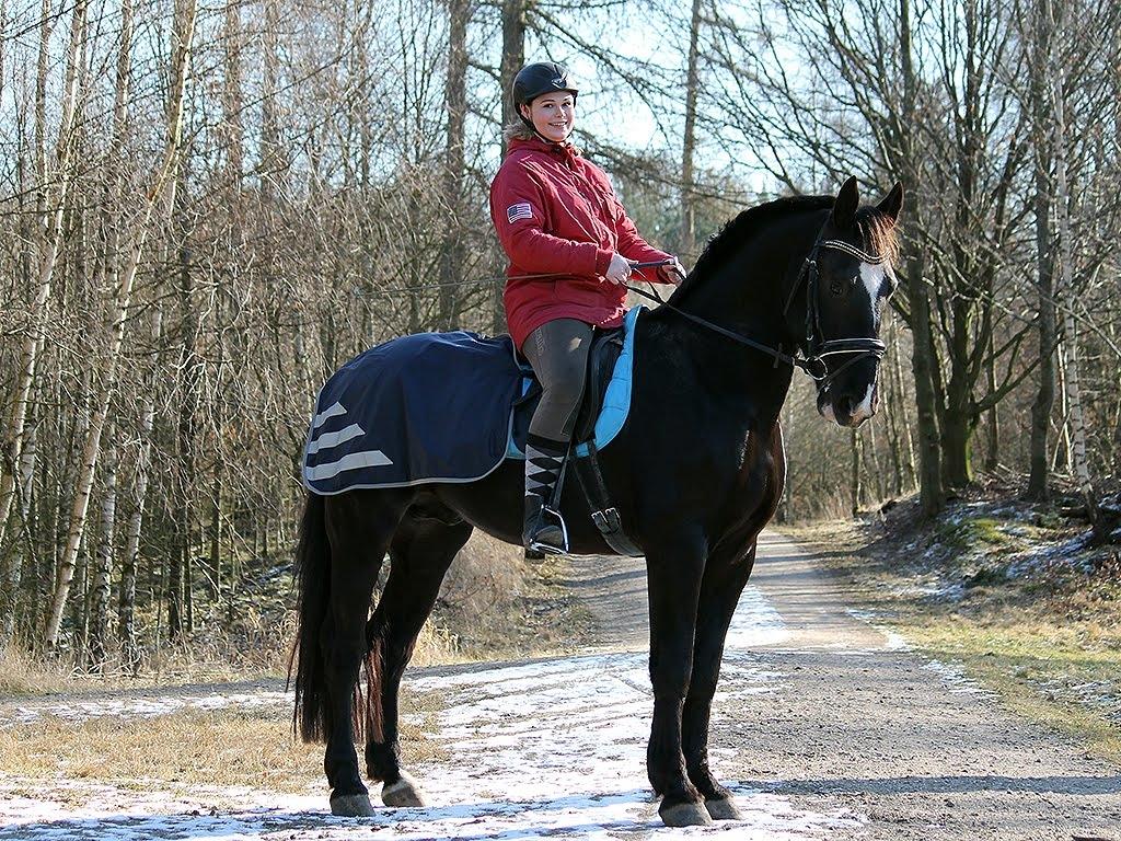 Oldenborg Elias af Lundsager billede 2