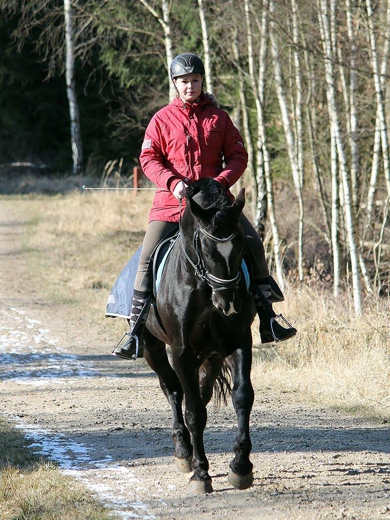 Oldenborg Elias af Lundsager billede 5