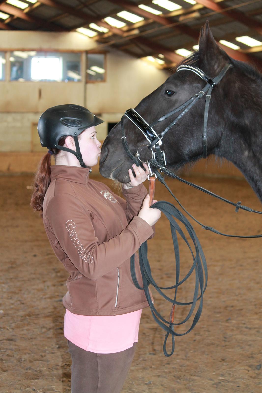 Oldenborg Elias af Lundsager billede 10