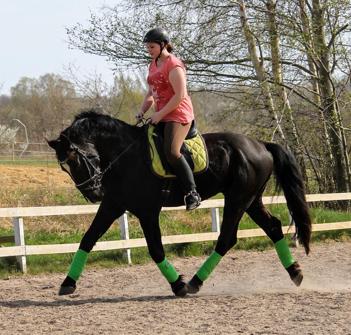 Oldenborg Elias af Lundsager billede 13