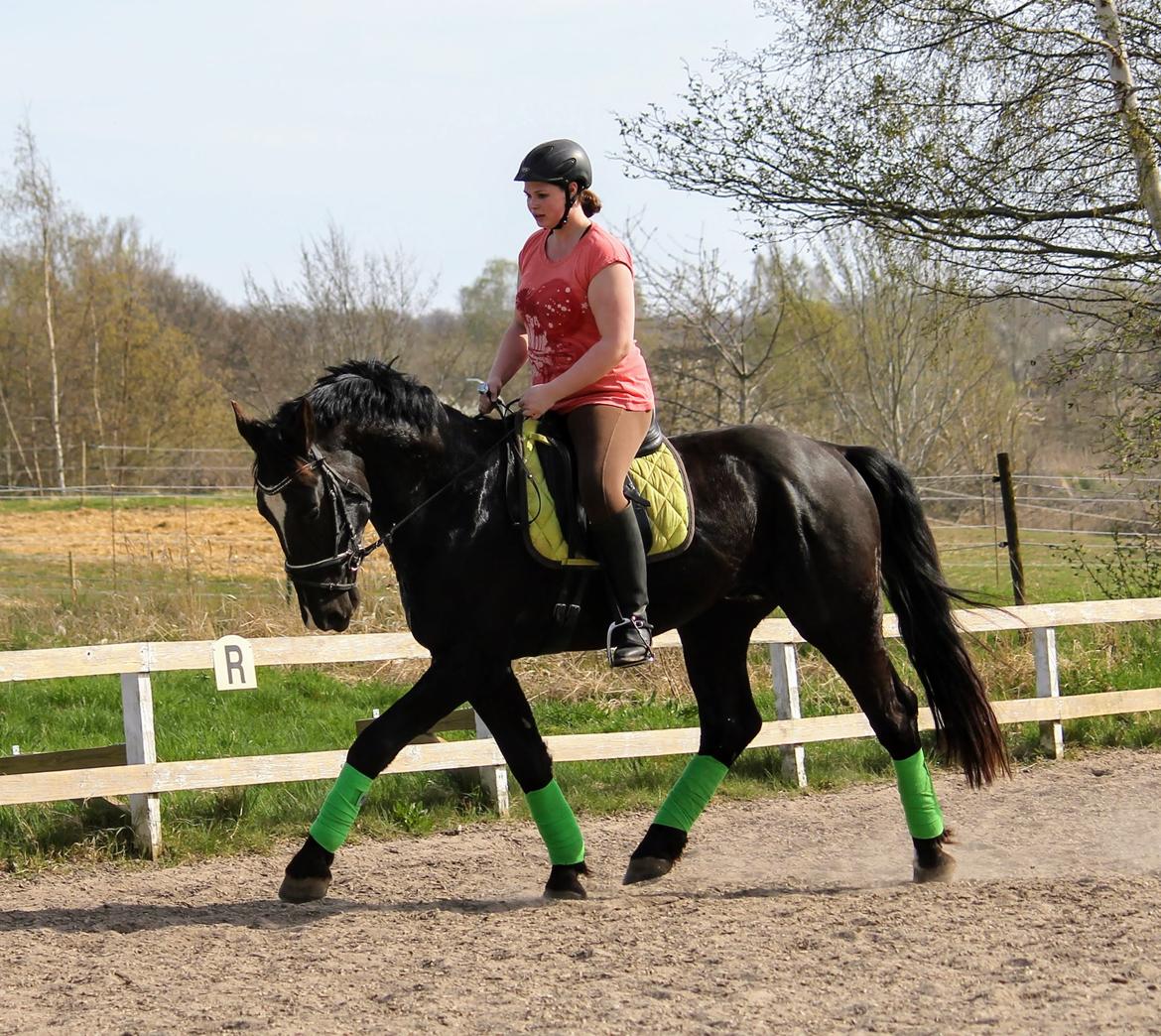 Oldenborg Elias af Lundsager billede 1